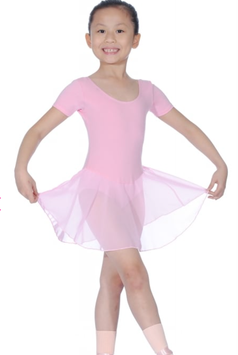 Roch Valley Rebecca Skirted leotard.